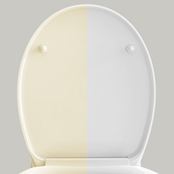 duroplast toilet seat