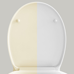 duroplast toilet seat