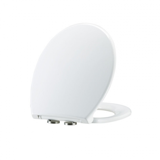 Oval toilet seat