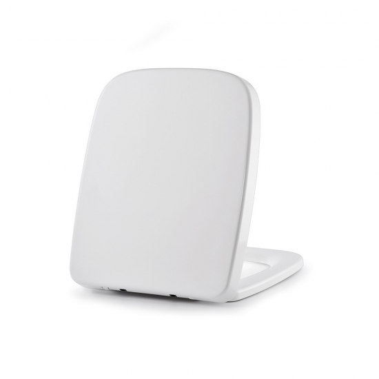 sanitary ware toilet seat