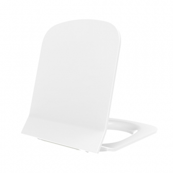 WC seat cover white