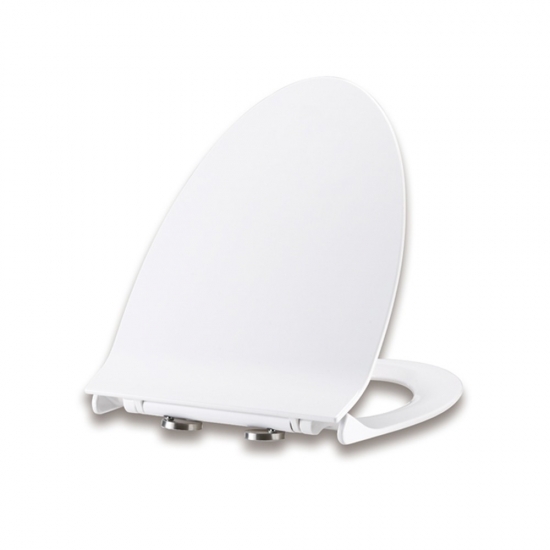 European standard toilet seat